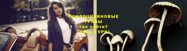 МДПВ Вязьма