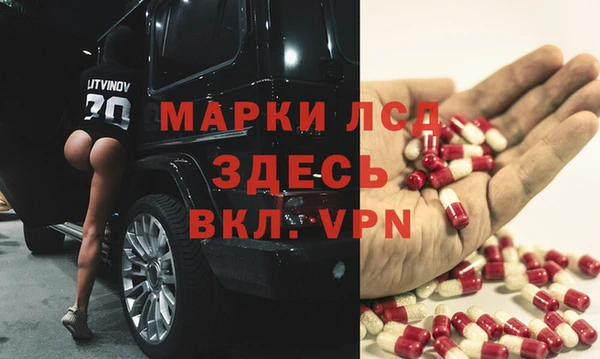 стаф Волосово