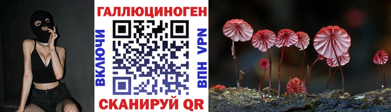кракен вход  Поворино  нарко площадка формула  Псилоцибиновые грибы Magic Shrooms 